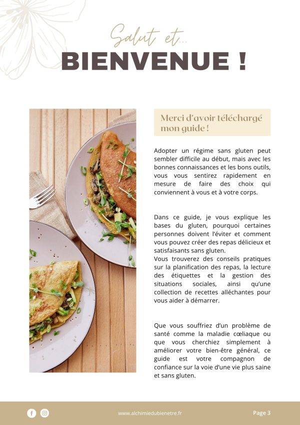 Guide Gratuit du sans gluten au quotidien – Image 3